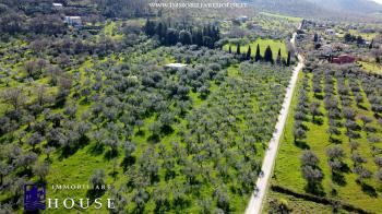 Villa in costruzione Terreno edificabile (rif.7) [/GEST/immagini]  