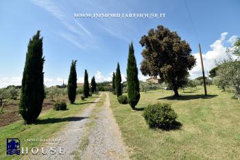 Bolsena - Vendesi Agriturismo - Azienda Agricola Val di Lago (rif.32) [/GEST/immagini]  