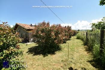Bolsena - Vendesi Agriturismo - Azienda Agricola Val di Lago (rif.32) [/GEST/immagini]  